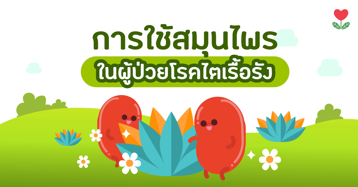 เตือน!! ระวังอันตรายใช้สมุนไพรในผู้ป่วยโรคไต