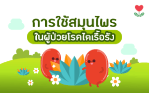 Read more about the article เตือน!! ระวังอันตรายใช้สมุนไพรในผู้ป่วยโรคไต